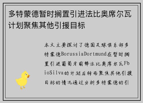 多特蒙德暂时搁置引进法比奥席尔瓦计划聚焦其他引援目标